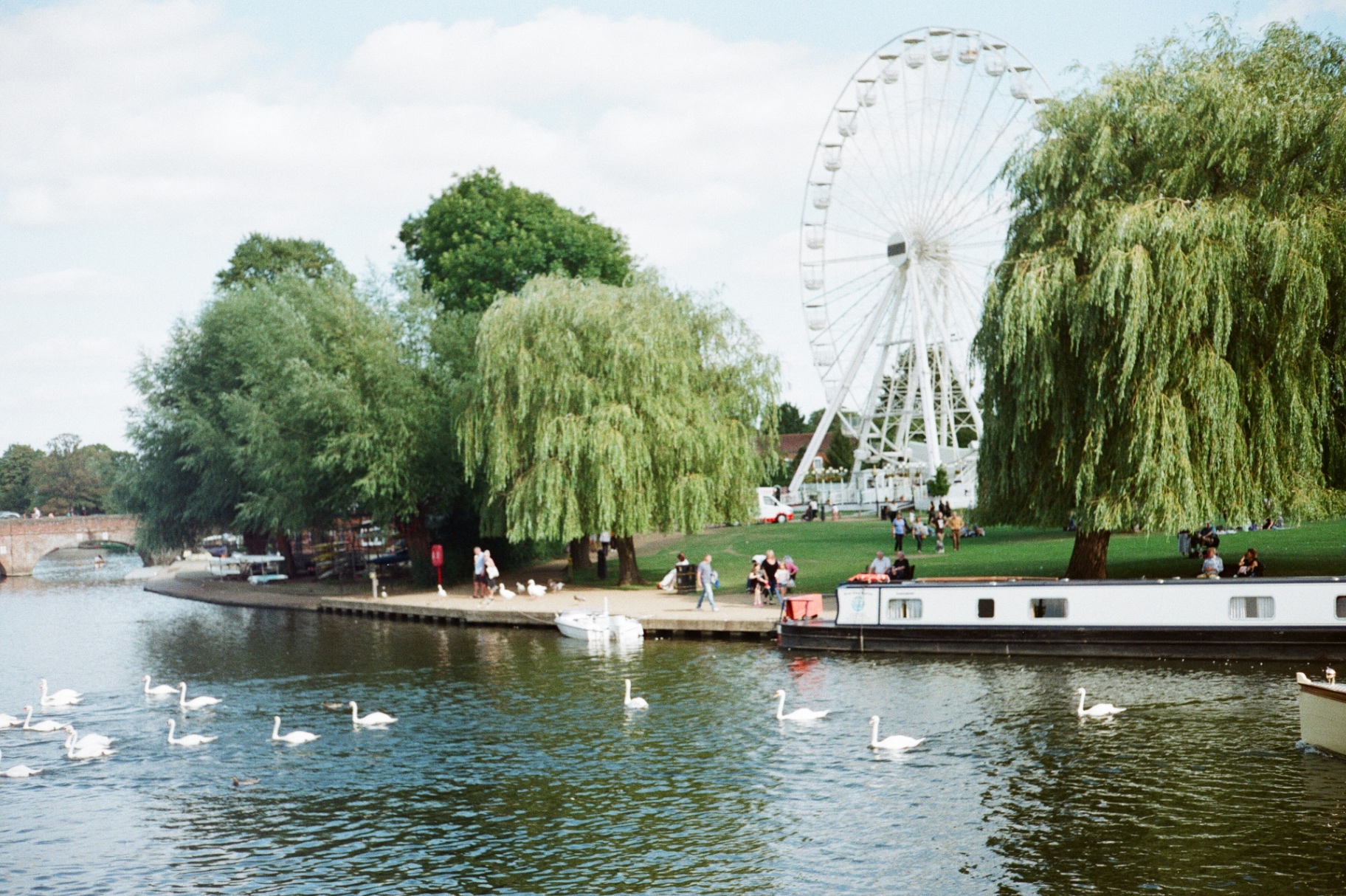 River Avon at Stratford-upon-Avon with the big wheel and willow trees